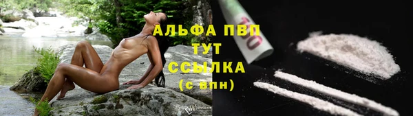 PSILOCYBIN Богородск