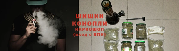 спайс Богданович