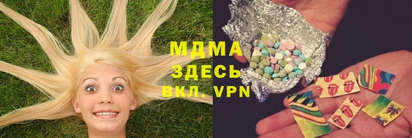 спайс Богданович
