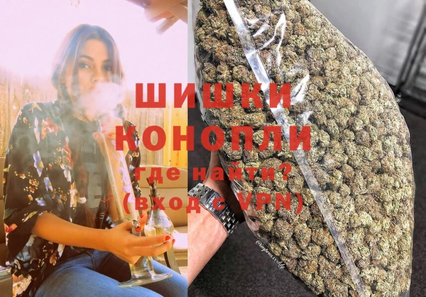 спайс Богданович