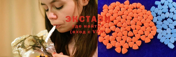 твердый Долгопрудный